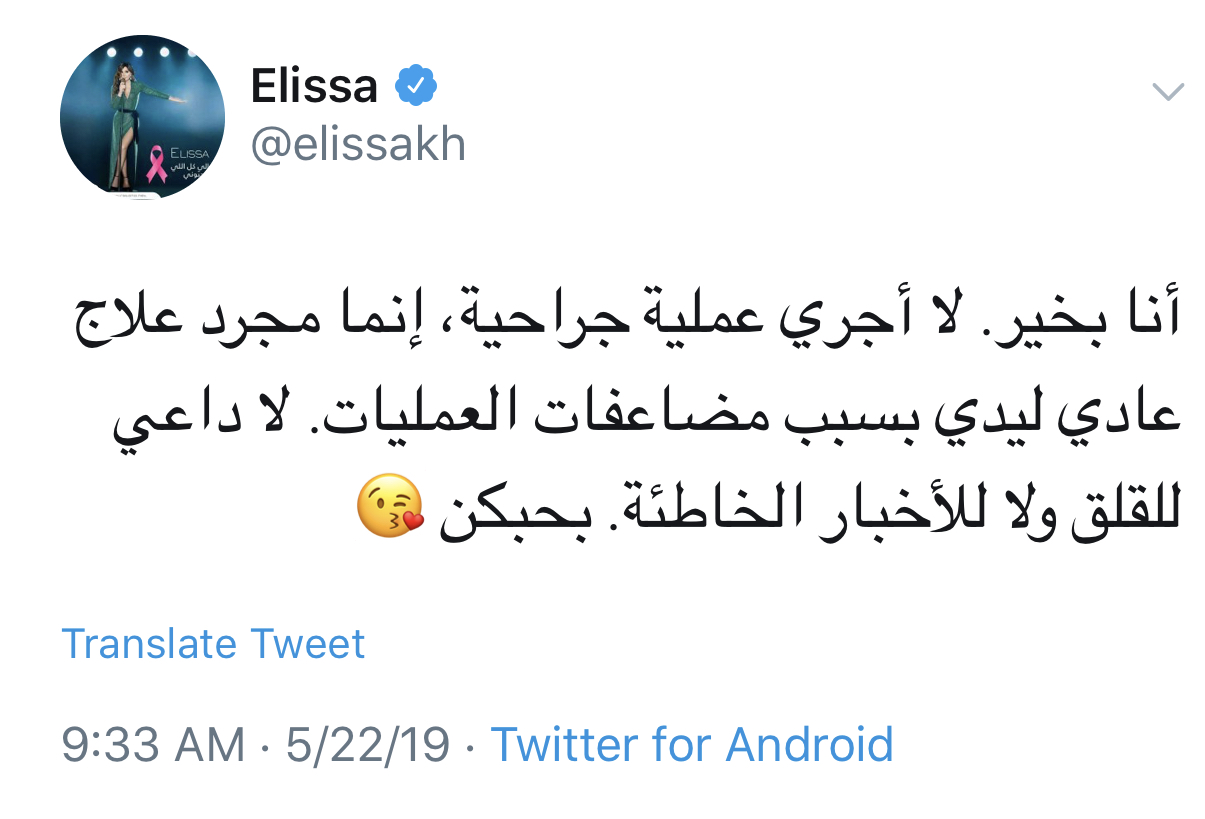 اليسا تطمئن جمهورها