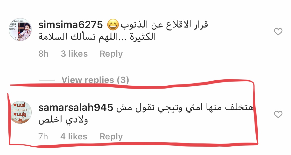 الإساءة لنادين نجيم بسبب أحمد عز