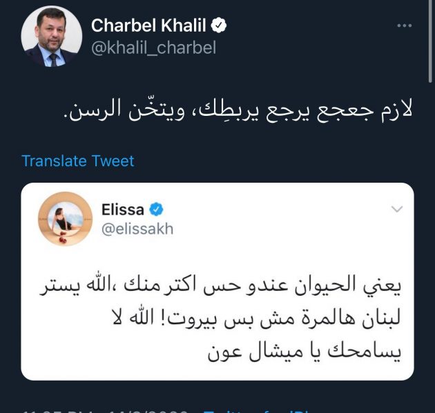 شربل خليل يعتدي على إليسا