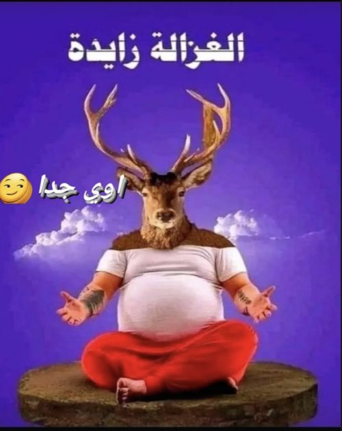 منى زكي تسخر من زيادة وزنها: الغزالة زايدة