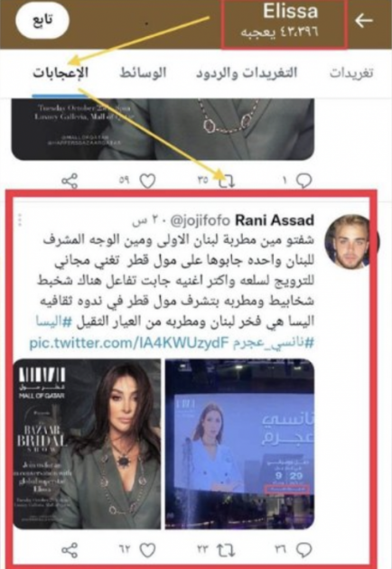 إليسا لم تقصد الإساءة لنانسي