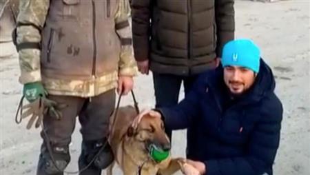 كلبة تنقذ ١٢ تركيًا تحت الأنقاض! 